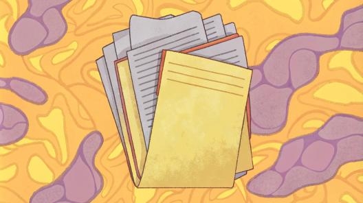 Управление расходами в 1С:Управление торговлей ред. 11