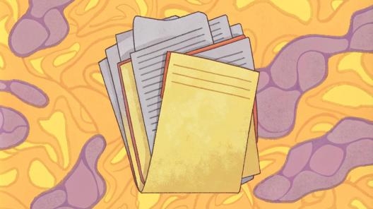 Декларации СОУТ станут бессрочными с 1 марта 2022 года