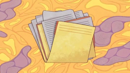 Срок погашения векселя