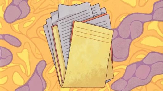 Срок проведения государственной экспертизы проектной документации