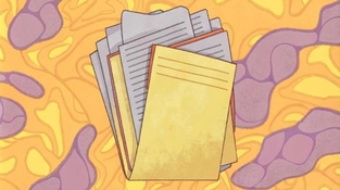 Можно ли работать родственникам в одной организации