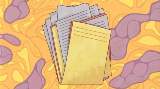 Можно ли работать родственникам в одной организации