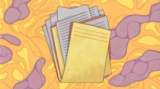 Учёт программного обеспечения в бюджетном учреждении