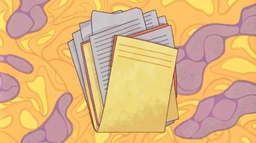 Учёт программного обеспечения в бюджетном учреждении