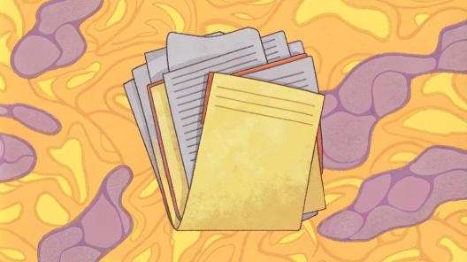 Курс по госзакупкам: все новшества в 44-ФЗ и 223-ФЗ