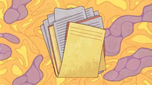 Как настроить обмен между 1С и сайтом?