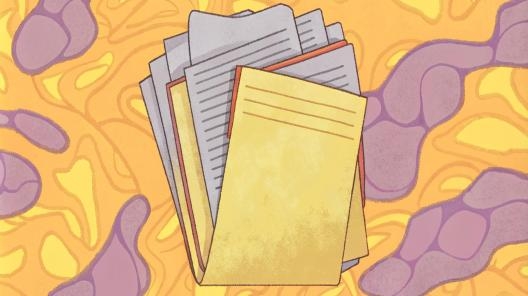 Что делать, если вас покусала чужая собака?