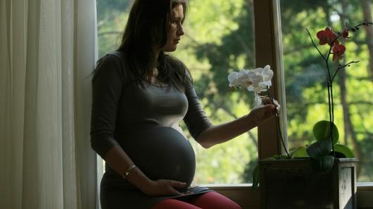 Порядок оплаты больничных беременным предлагают подкорректировать
