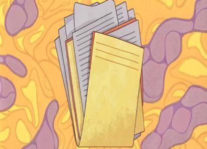 Сдаем отчетность по НДС с легкостью! Семинар от Первого Дома Консалтинга