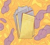 Новое в порядке формирования бухгалтерской отчётности государственных (муниципальных) учреждений – семинар 24 июня