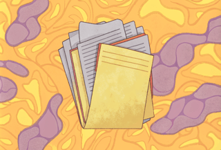 Подводим итоги августа