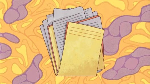 Реквизиты таможенной декларации в счёте-фактуре нужны не всегда