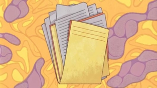 Что говорят эксперты о новом Таможенном кодексе ЕАЭС