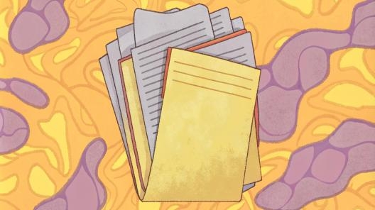 Перемена лиц в обязательстве: новые разъяснения Верховного Суда РФ