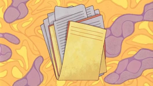 «Скорость – ключевое слово для бизнеса в 2018 году» - интервью с Сергеем Макшановым