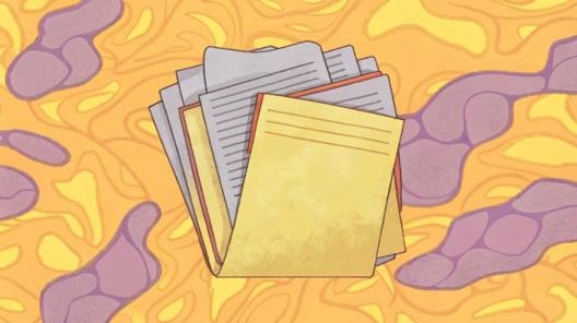 Как защитить свой бизнес при проверках