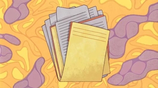 Июльские изменения в правилах госзакупок