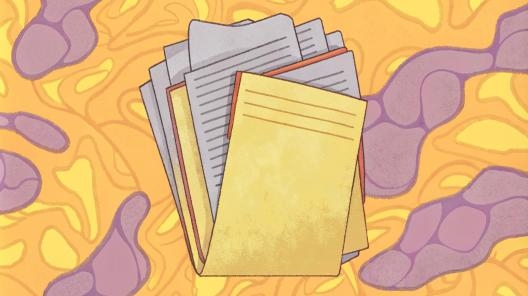 Минфин изменит формы бюджетной отчётности