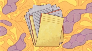 Как правильно построить работу бухгалтерии?