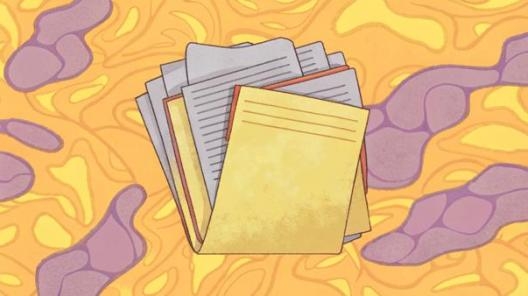 Типичные ошибки работодателя при увольнении сотрудников