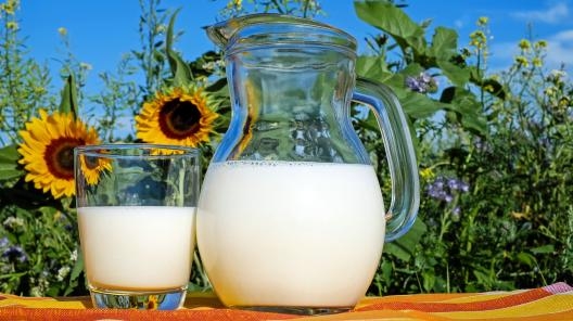 С ноября изменятся правила продажи молочной продукции