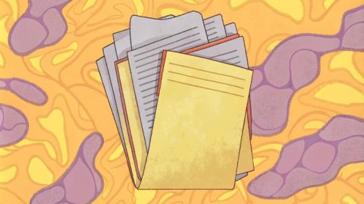 Об ответственном за НДФЛ-отчётность ОП нужно сообщить только одной ИФНС