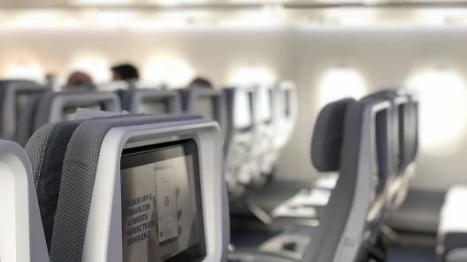 Возмещение платы за выбор места в самолёте можно учесть в расходах