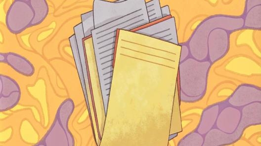 Единую декларацию по налогу на имущество получится представить не всегда