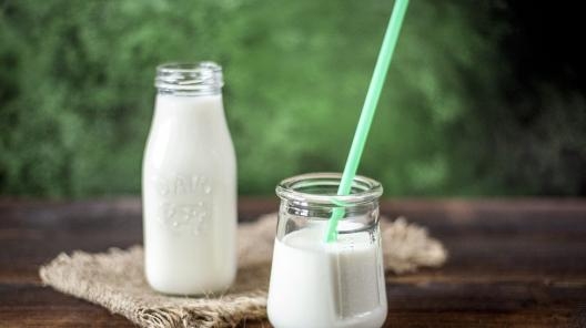 Минпромторг рассказал о планах по обязательной маркировке молочной продукции