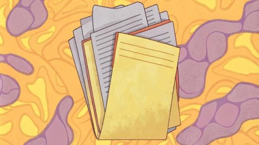 Расходы не будут нецелевыми, если их оплата предполагалась при выделении ЛБО