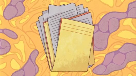 Переход с 1С:Комплексной автоматизации ред. 1.1 на 1С:Бухгалтерию ред. 3.0