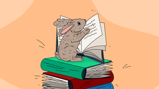 Изменения в книге продаж с 2025 года: как заполнять