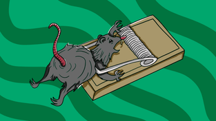 Как компании отказали в ликвидации, хотя долг перед бюджетом был просрочен