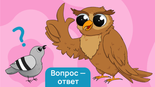 Можно ли обществу распределять дивиденды, если это не прописано в его уставе