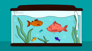 Как подготовить и сдать ЕФС-1 за I полугодие 2025 года