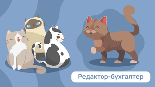 Ищем редактора в команду. Направление «Бухучет»