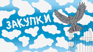 Как УФАС освободило компанию из РНП раньше срока