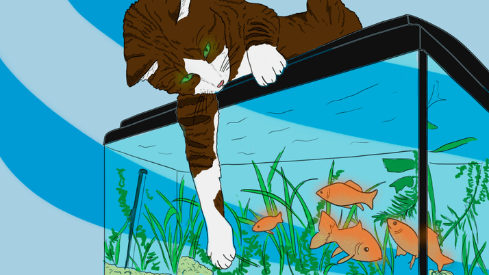 Позиции судов в налоговых спорах об осмотрах и выемке: что учесть в 2024 году