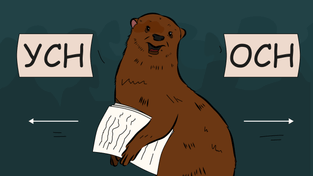 Как заполнить и сдать декларацию по НДС за I квартал 2025 года