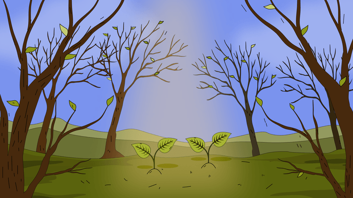 Порядок учёта ФСБУ 26 /2020 «Капитальные вложения»