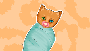 Перед окончанием срока трудового договора у женщины выяснилось, что она беременна: как поступить работодателю