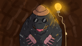 Закупки и управление госимуществом: новые инструменты для работы