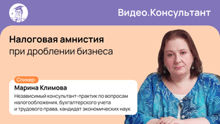 Налоговая амнистия при дроблении бизнеса