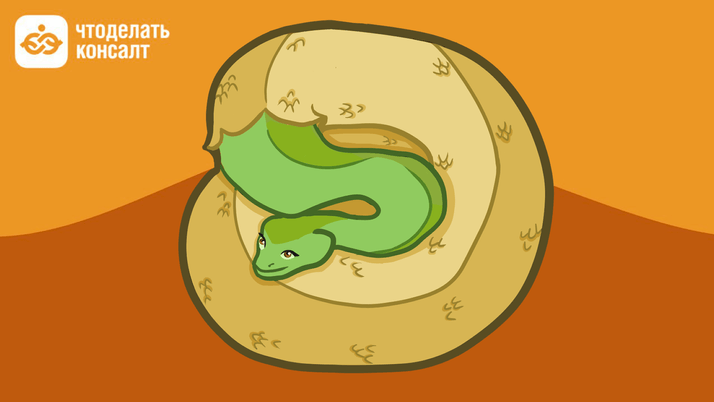 Какие изменения ждут бухгалтеров в 2024 году