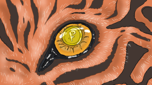 Казначейское сопровождение-2024