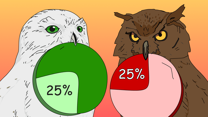 Как заполнить и сдать декларацию по налогу на прибыль за I квартал 2025 года