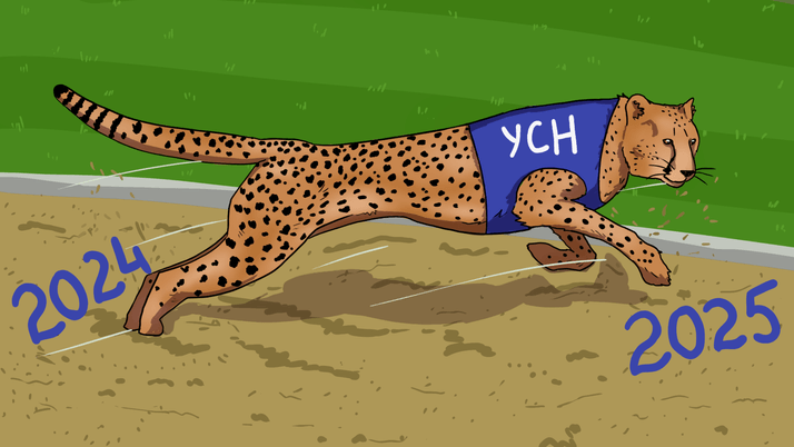 Как увеличили лимиты УСН с 2025 года