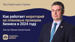 Как работает мораторий на плановые проверки бизнеса в 2024 году