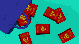 Санкции по персданным: как снизить штраф от Роскомнадзора