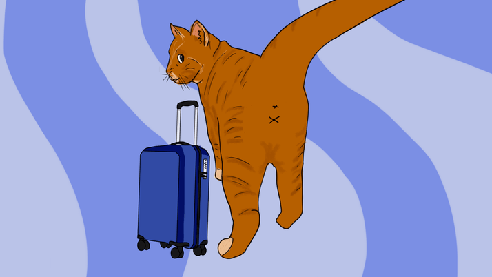 НДФЛ с зарплат сотрудников, уехавших за границу: FAQ и примеры расчета